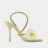 Cassidy Pumps - Cult Gaia - Leather - Multicolor