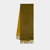 Knight Solid Scarf - Burberry - Wool - Khaki