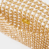 Vanina Beaded Sable Nacré 珠串手提手拿包