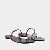 Morpheus Sandals - Giuseppe Zanotti - Leather - Brown