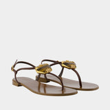 Muse Sandals - Giuseppe Zanotti - Leather - Brown