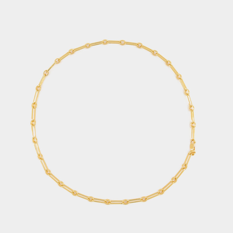 Gold Aegis Chain Necklace金色项链