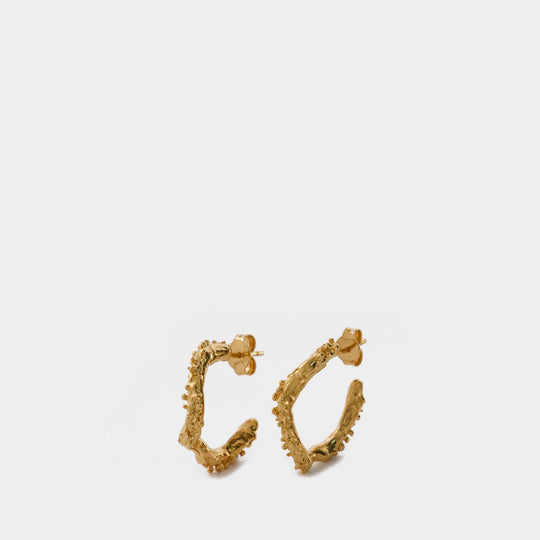 Alighieri Lunar Rocks Hoops 镀金金属圆形耳环