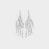 Silver earrings